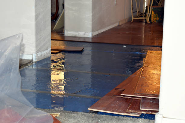 Professional Flood Cleanup technician working in South Carver, MA